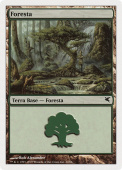 Forest Forest