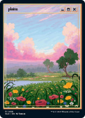 Plains Plains