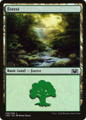 Forest Forest