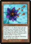 Lotus Bloom Lotus Bloom
