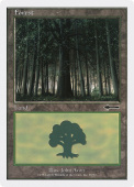 Forest Forest