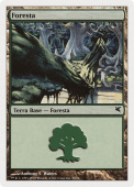 Forest Forest