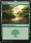 Forest Forest