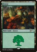 Forest Forest