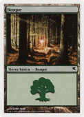 Forest Forest