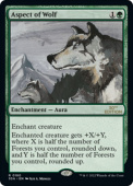 Aspect of Wolf Aspect of Wolf