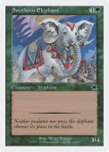Southern Elephant Southern Elephant