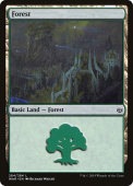 Forest Forest