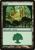 Forest Forest