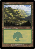 Forest Forest