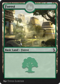 Forest Forest