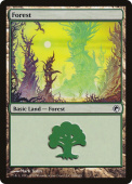 Forest Forest