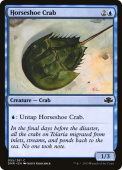 Horseshoe Crab Horseshoe Crab