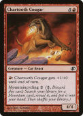 Chartooth Cougar Chartooth Cougar