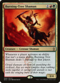 Burning-Tree Shaman Burning-Tree Shaman
