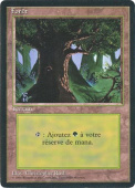 Forest Forest