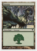 Forest Forest