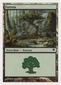 Forest Forest
