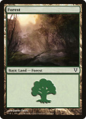 Forest Forest