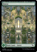 Forest Forest