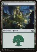 Forest Forest