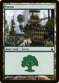 Forest Forest