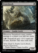 Festerleech Festerleech