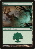 Forest Forest