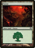 Forest Forest