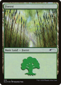 Forest Forest
