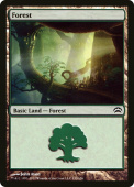Forest Forest