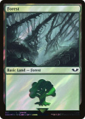 Forest Forest