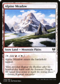 Alpine Meadow Alpine Meadow