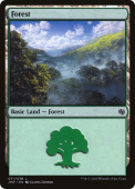 Forest Forest