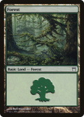 Forest Forest