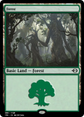 Forest Forest