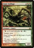 Giant Solifuge Giant Solifuge
