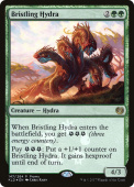 Bristling Hydra Bristling Hydra