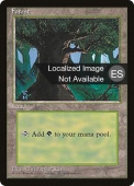Forest Forest