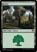Forest Forest