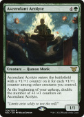 Ascendant Acolyte Ascendant Acolyte