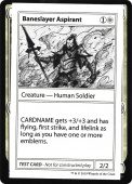 Baneslayer Aspirant Baneslayer Aspirant