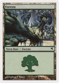 Forest Forest