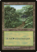 Forest Forest