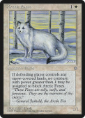 Arctic Foxes Arctic Foxes