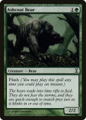 Ashcoat Bear Ashcoat Bear