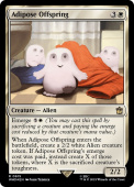 Adipose Offspring Adipose Offspring