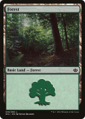 Forest Forest