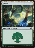 Forest Forest