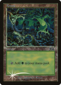 Forest Forest